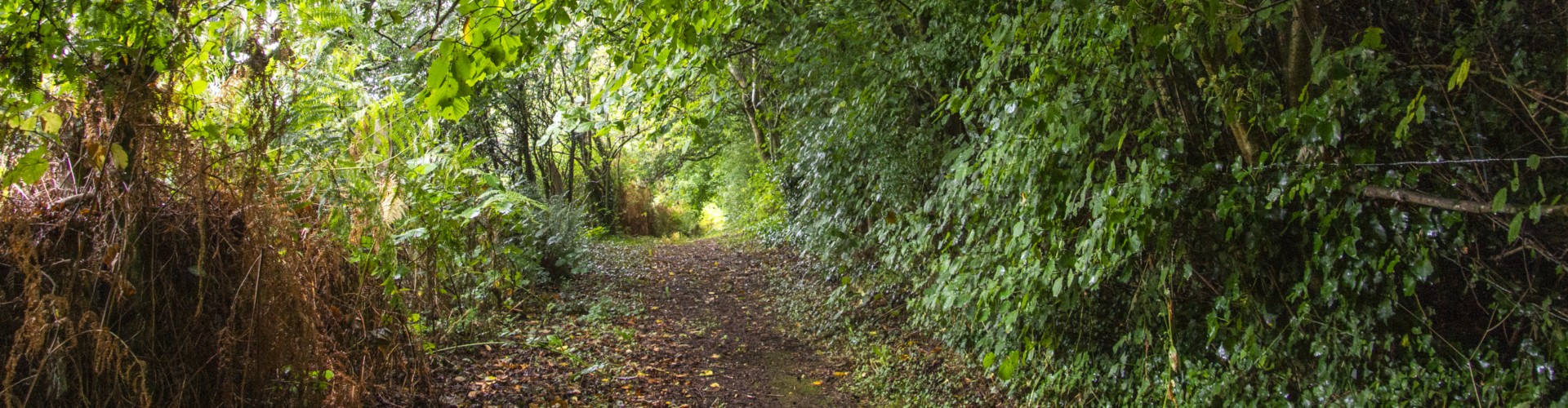 Escapades Nature